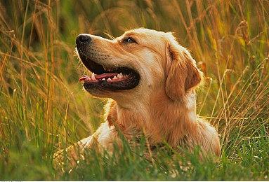 《漫威SNAP》游戏崩溃卡牌5月回归 全员免费获得